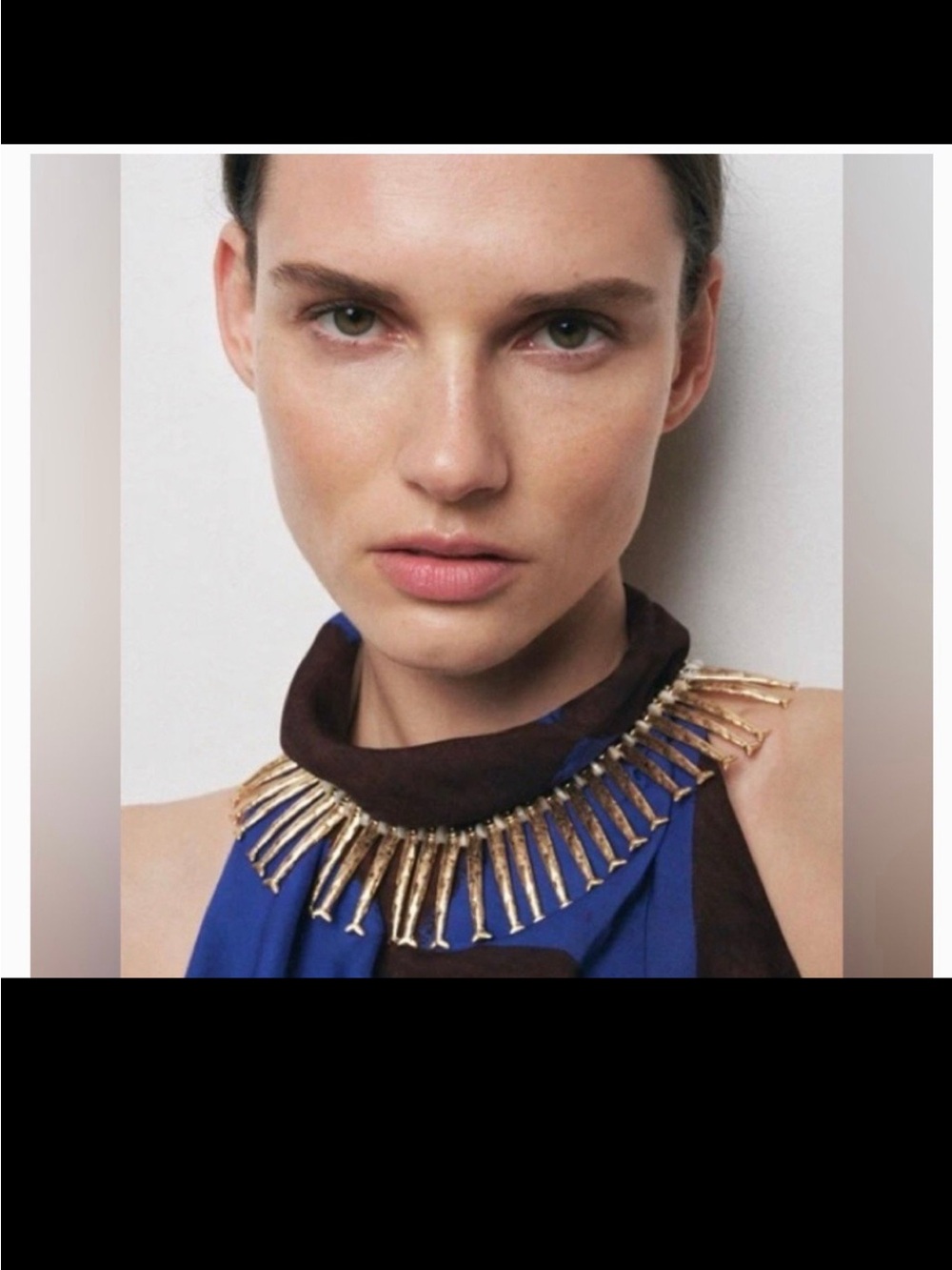 Zara Gold Fish Collar Necklace